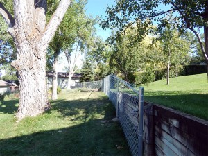 Chain Link Fence, Sturgis, SD            