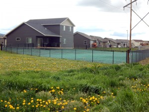 Black Chain Link Fence      