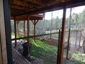 Black Chain Link Fence      