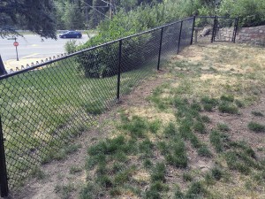 Black Chain Link Fence     